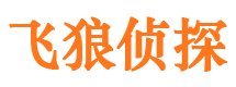 多伦市私家侦探